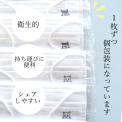【日本製】 ふんわりマスク ワンポイント入り (茶犬パッケージ)