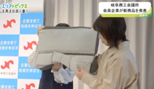 CCN「エリアトピックス」の番組内で紹介されるエストマフィットピロー2の放送画面